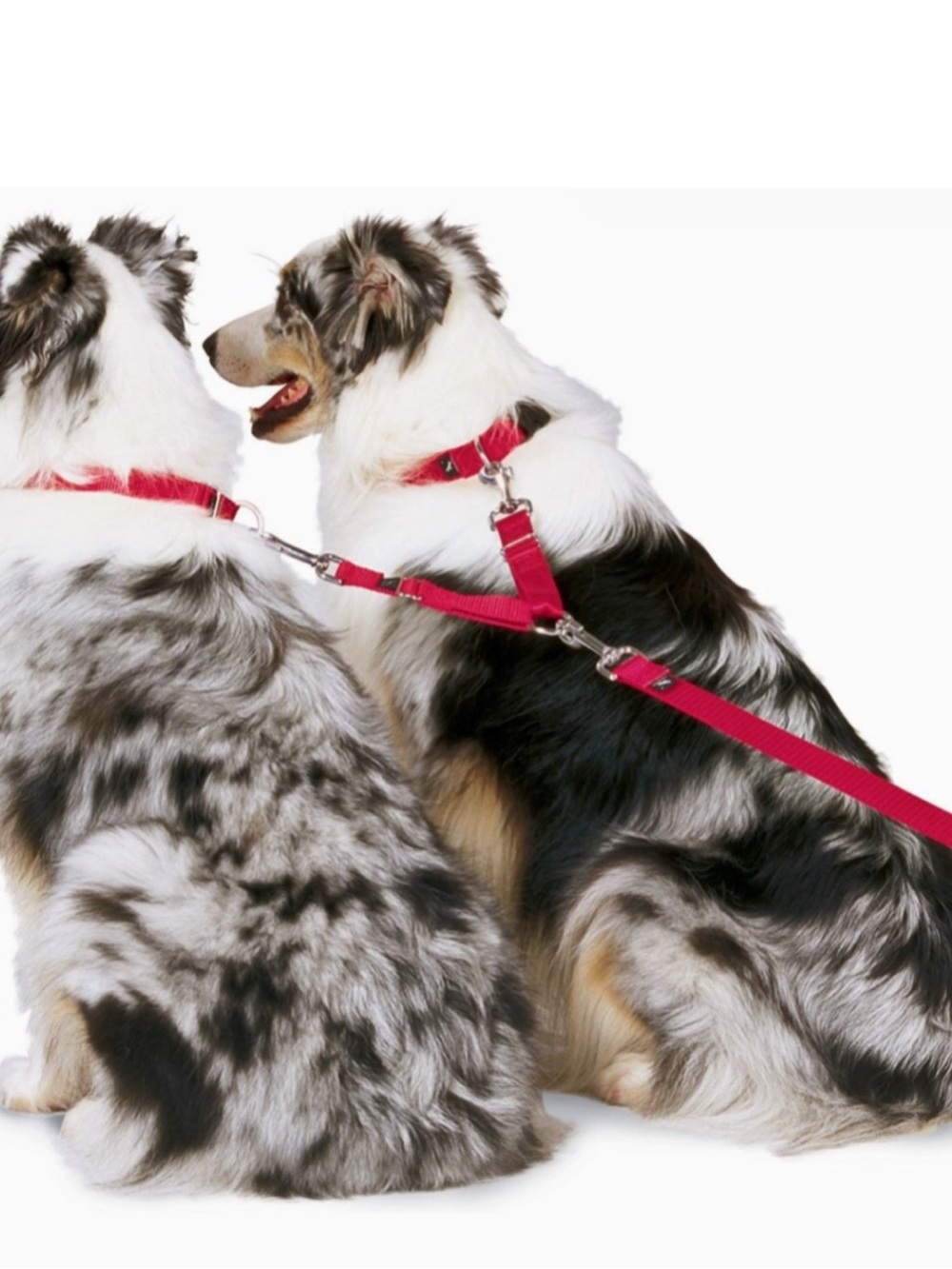 Pet Safe Adjustable Red Dual Coupler Sz Large